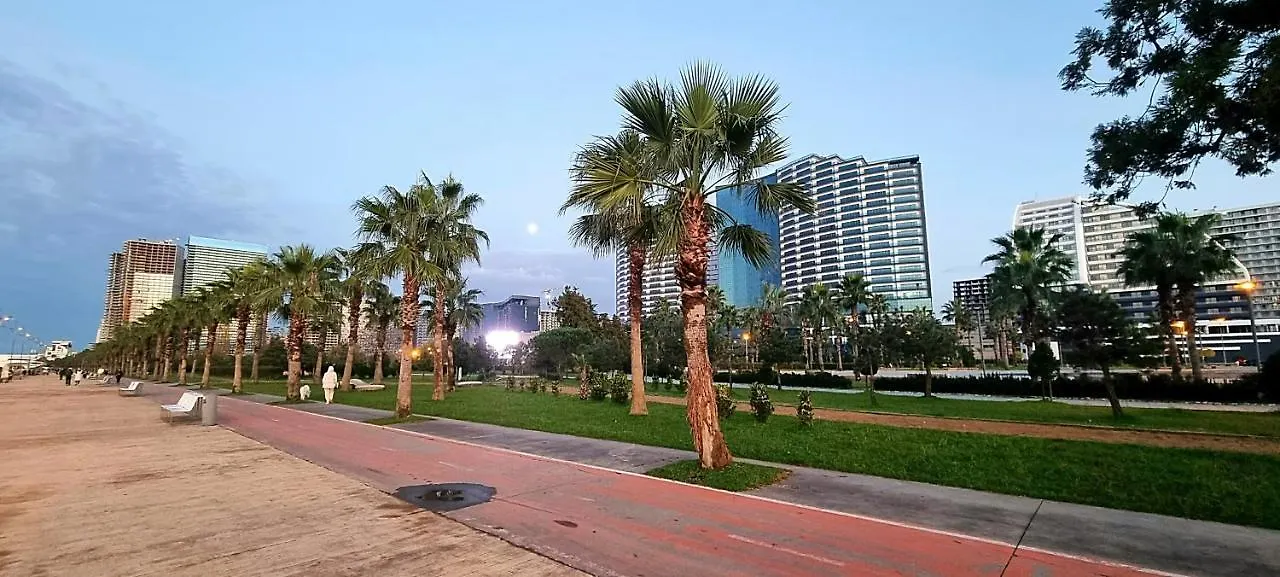 Аренда Batumi Vip 0*,